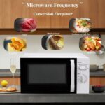 ميكرويف راف RAF R8002-7